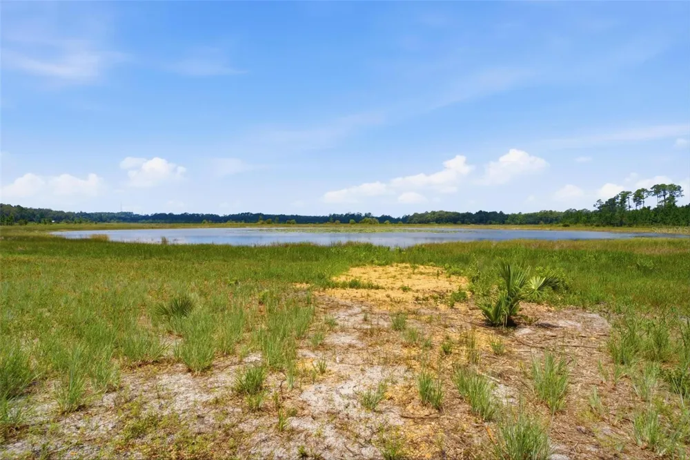 0 SE 150TH FOREST 02, #3,  SE 150TH STREET Umatilla, FL 32784