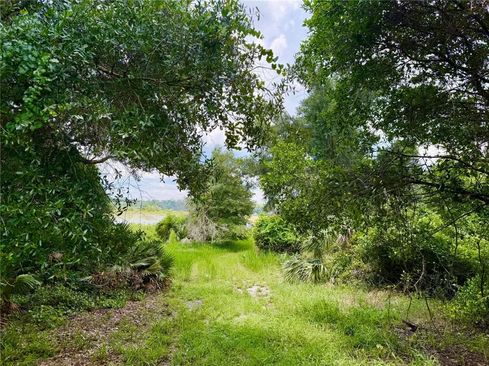 0 SE 150TH FOREST 02, #3,  SE 150TH STREET Umatilla, FL 32784