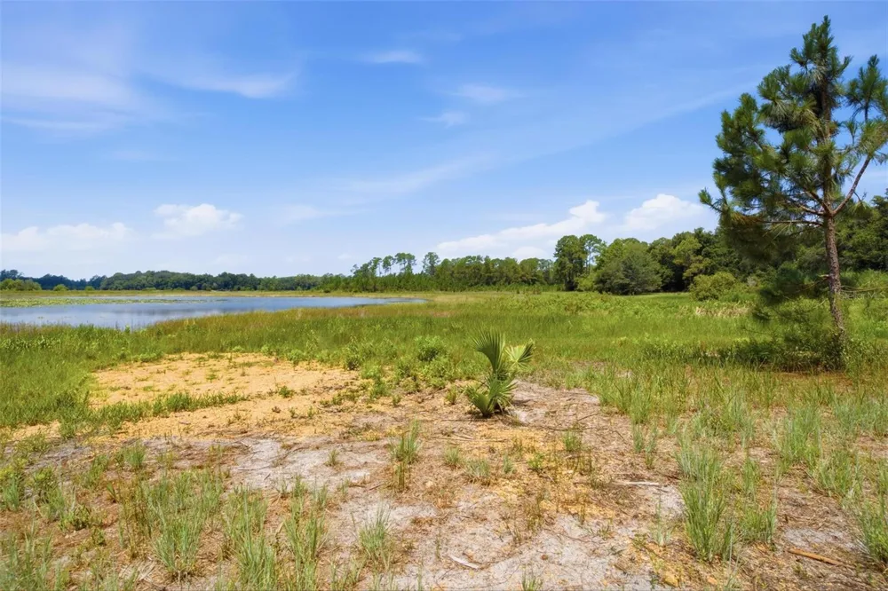 0 SE 150TH FOREST 02, #3,  SE 150TH STREET Umatilla, FL 32784