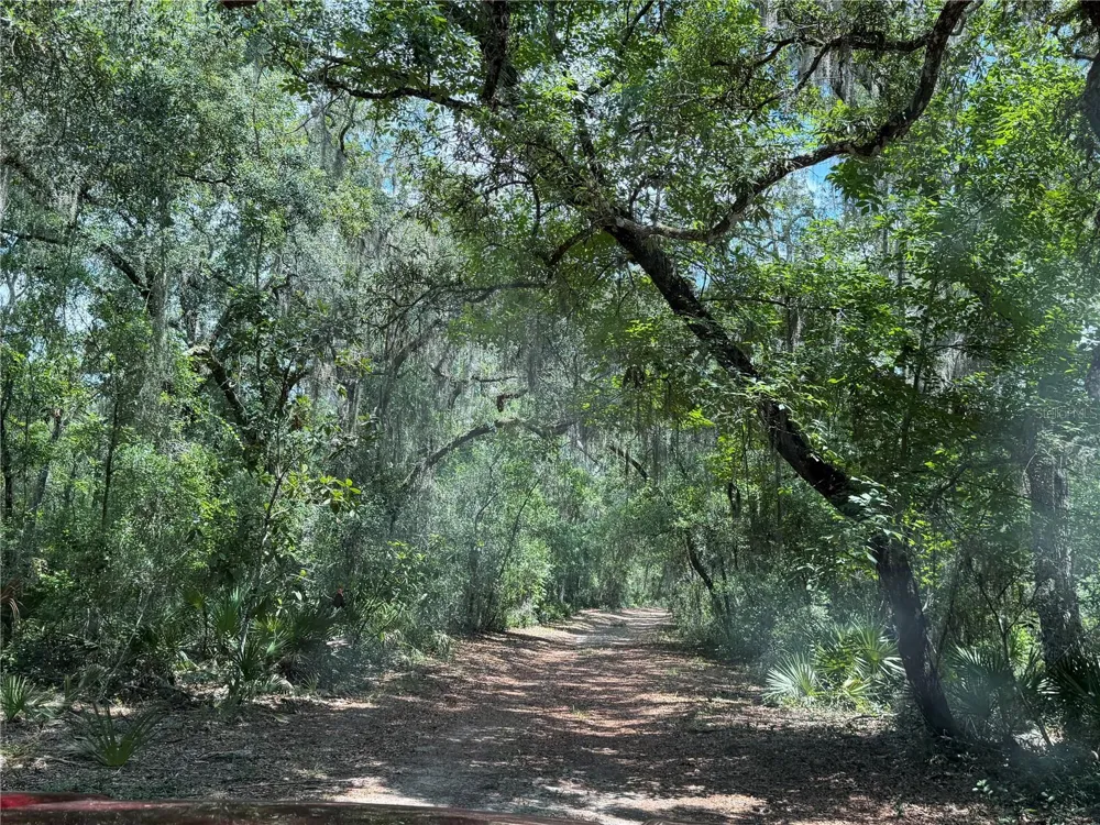 0 SE 150TH FOREST 02, #3,  SE 150TH STREET Umatilla, FL 32784