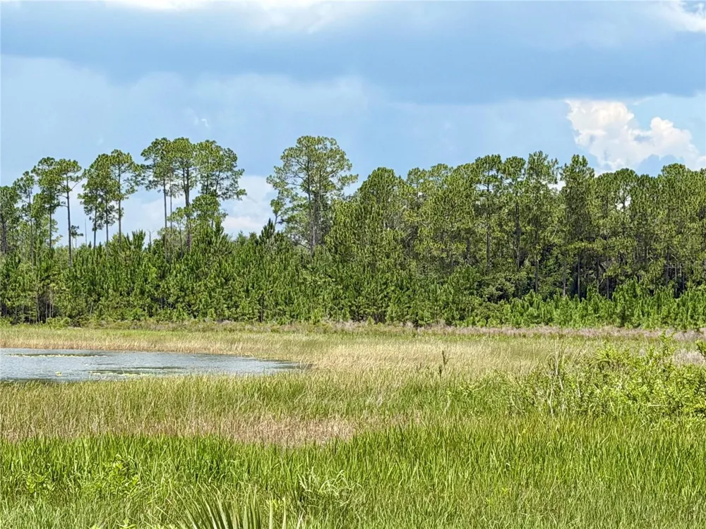 0 SE 150TH FOREST 02, #3,  SE 150TH STREET Umatilla, FL 32784