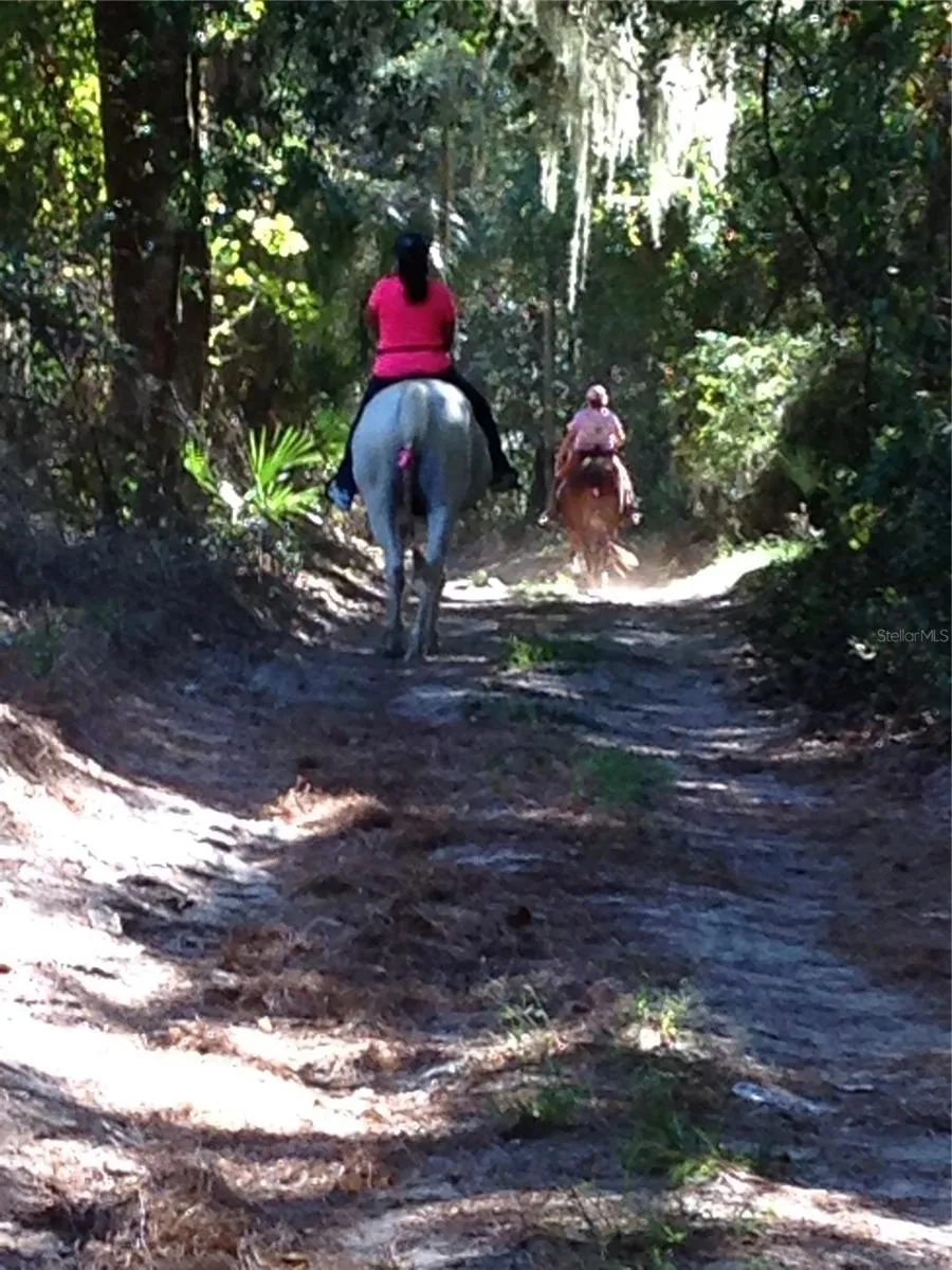0 SE 150TH FOREST 02, #3,  SE 150TH STREET Umatilla, FL 32784