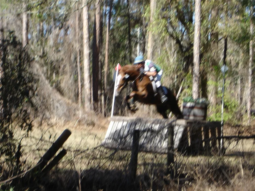 0 SE 150TH FOREST 02, #3,  SE 150TH STREET Umatilla, FL 32784