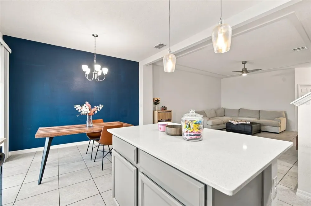 6252 CAMINO DRIVE Apollo Beach, FL 33572