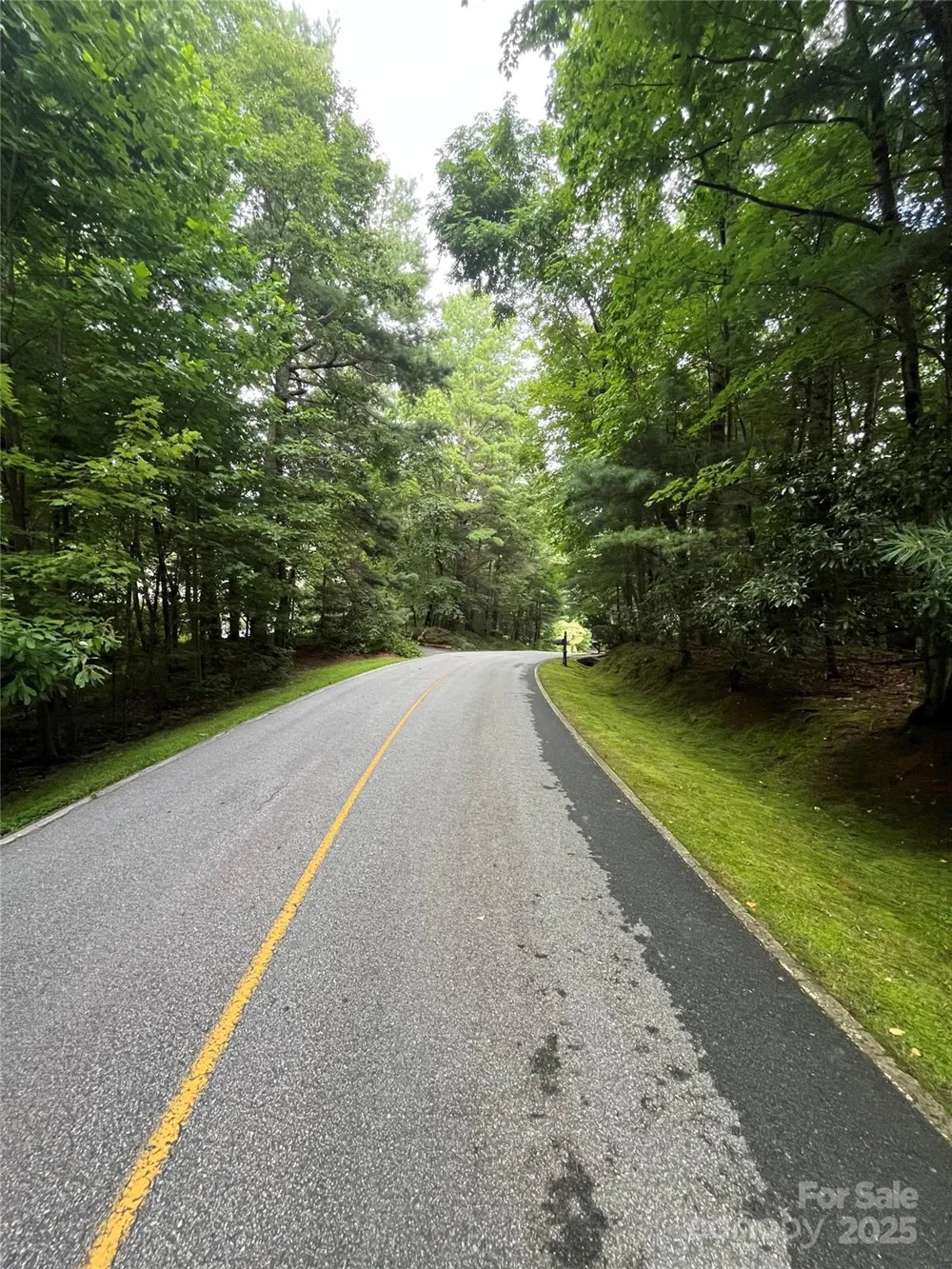 000 GREENLEAF DRIVE Flat Rock, NC 28731