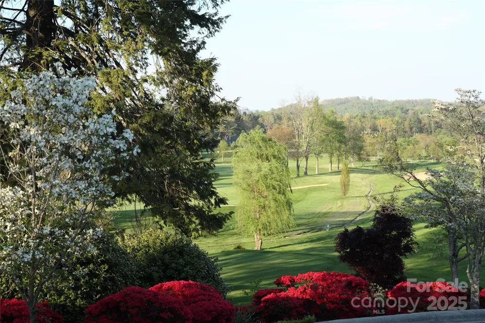 000 GREENLEAF DRIVE Flat Rock, NC 28731