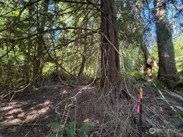 0 Weyers Lane SW Port Orchard, WA 98366