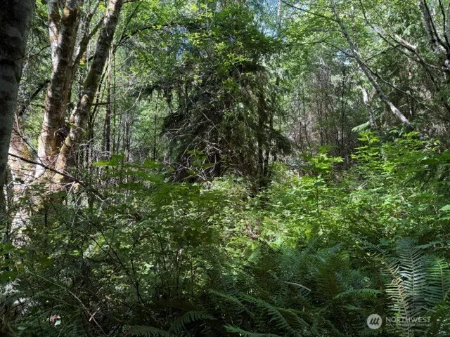 0 Weyers Lane SW Port Orchard, WA 98366
