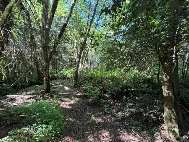 0 Weyers Lane SW Port Orchard, WA 98366