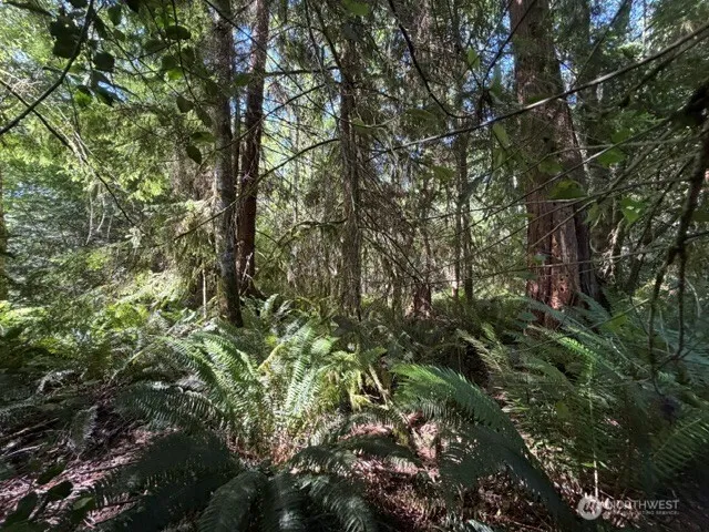 0 Weyers Lane SW Port Orchard, WA 98366