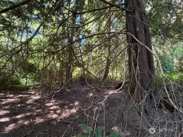 0 Weyers Lane SW Port Orchard, WA 98366
