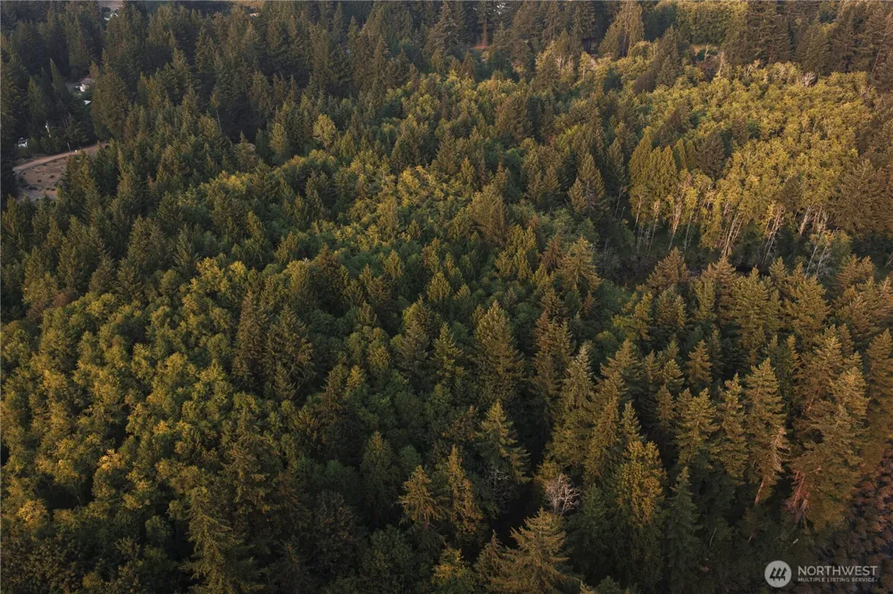 0 Weyers Lane SW Port Orchard, WA 98366
