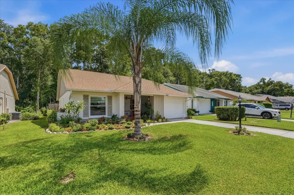 11602 WHITE ASH DRIVE New Port Richey, FL 34654