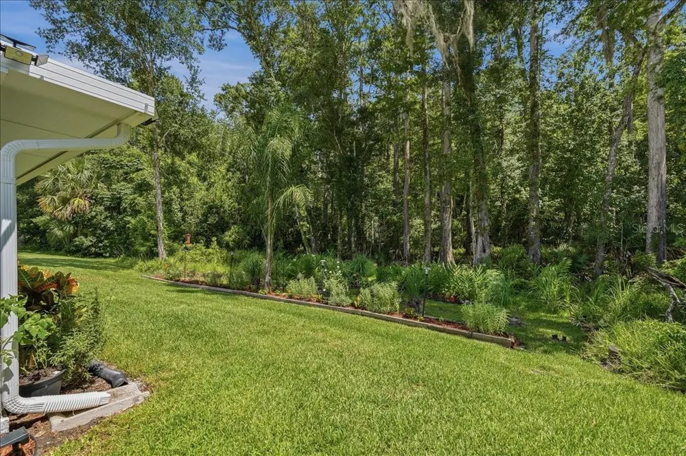 11602 WHITE ASH DRIVE New Port Richey, FL 34654