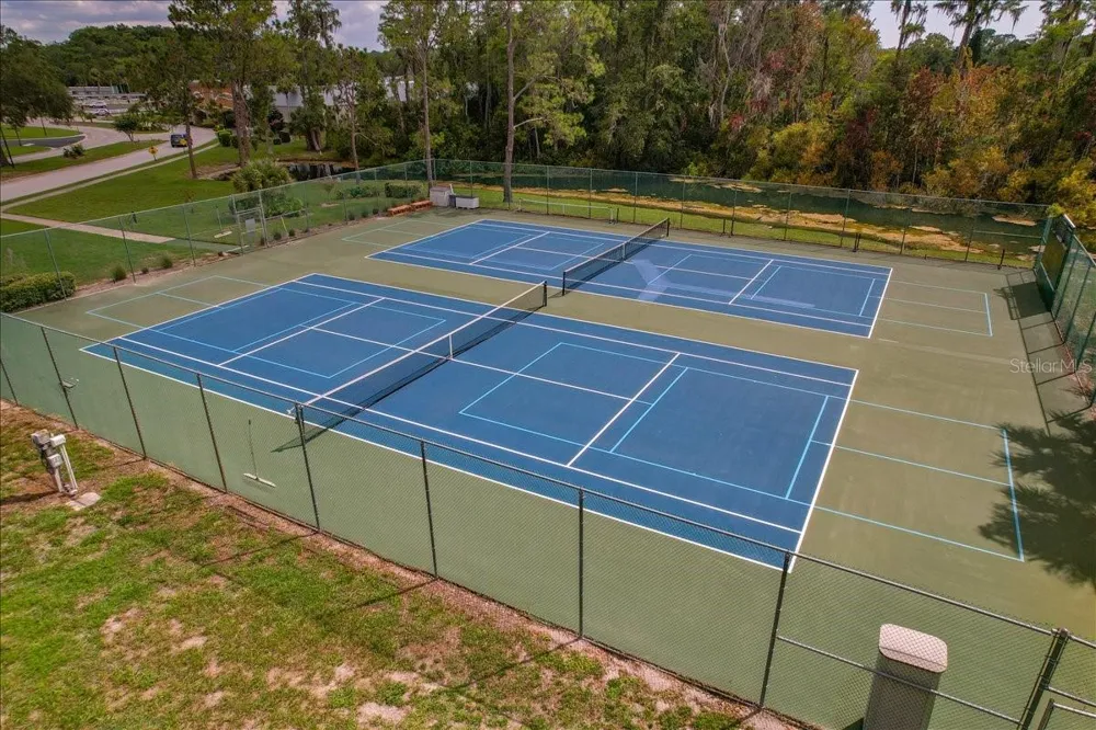 11602 WHITE ASH DRIVE New Port Richey, FL 34654