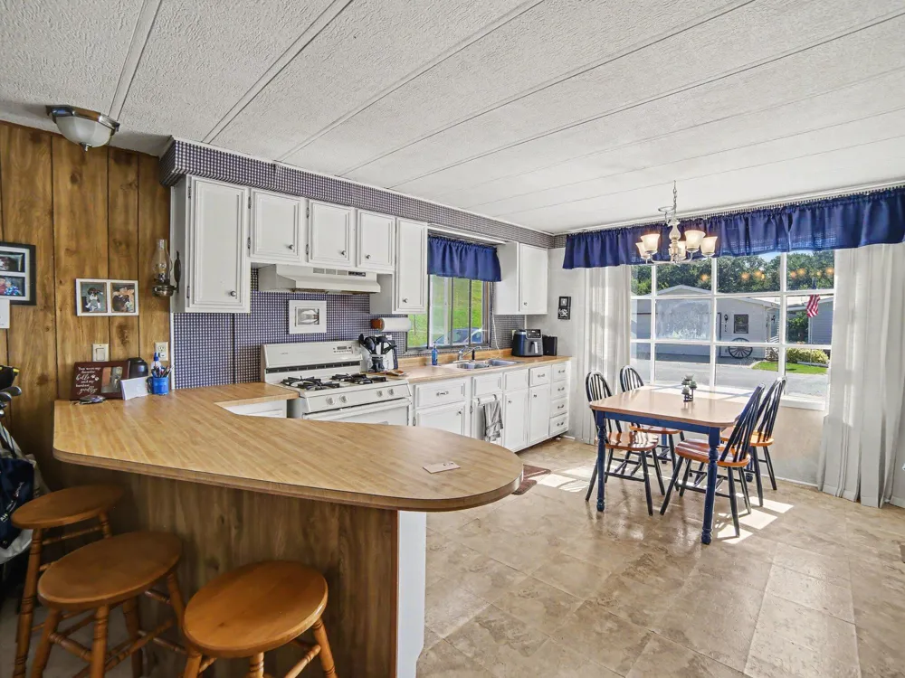2937 Lena Drive Hamlin Township, MI 49431