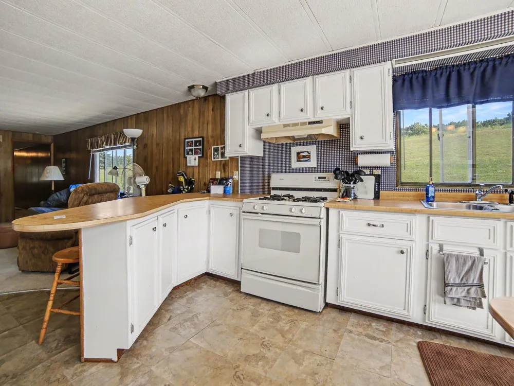2937 Lena Drive Hamlin Township, MI 49431