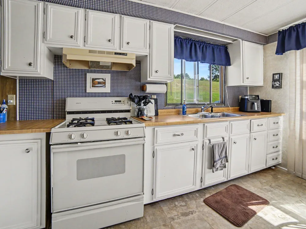 2937 Lena Drive Hamlin Township, MI 49431