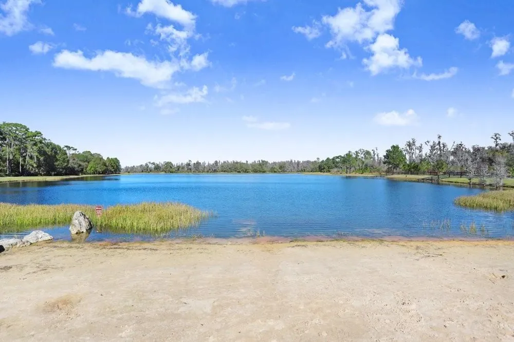 13007 BATTEN LANE Odessa, FL 33556
