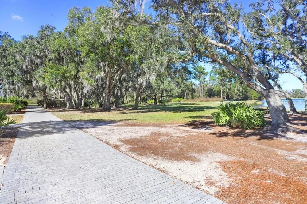 13007 BATTEN LANE Odessa, FL 33556