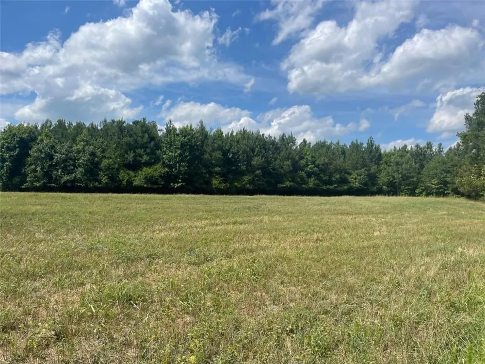 0 Cannon Road Sharpsburg, GA 30277