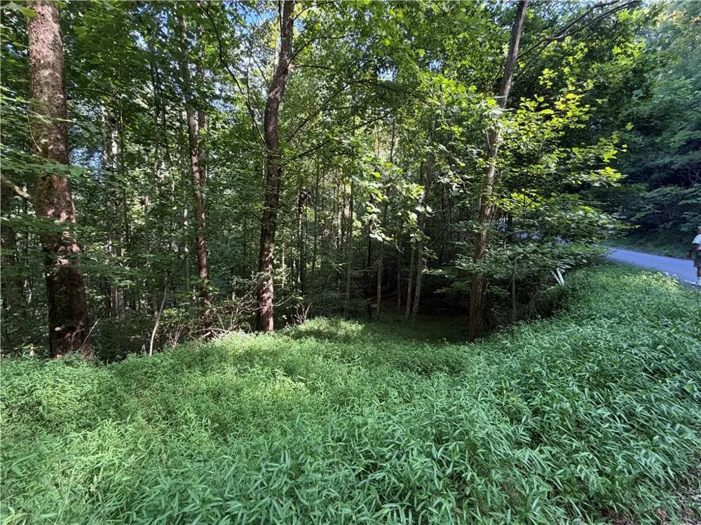 4 Mill Ridge Road Hiawassee, GA 30546