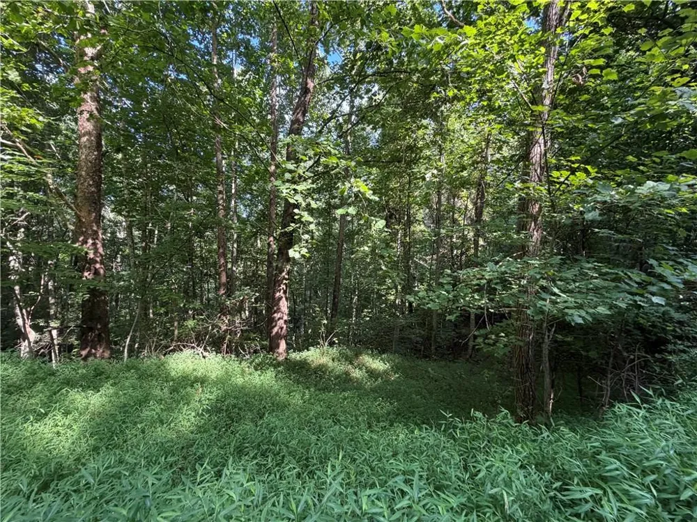 4 Mill Ridge Road Hiawassee, GA 30546