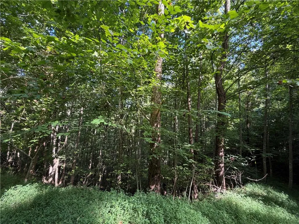 4 Mill Ridge Road Hiawassee, GA 30546