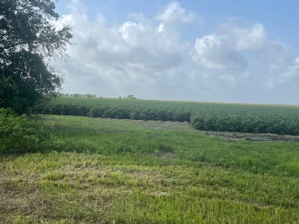 10815 Koym Road Beasley, TX 77417