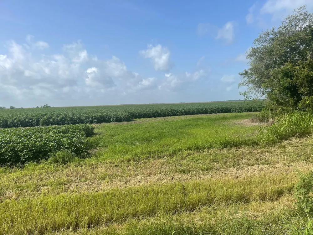 10815 Koym Road Beasley, TX 77417