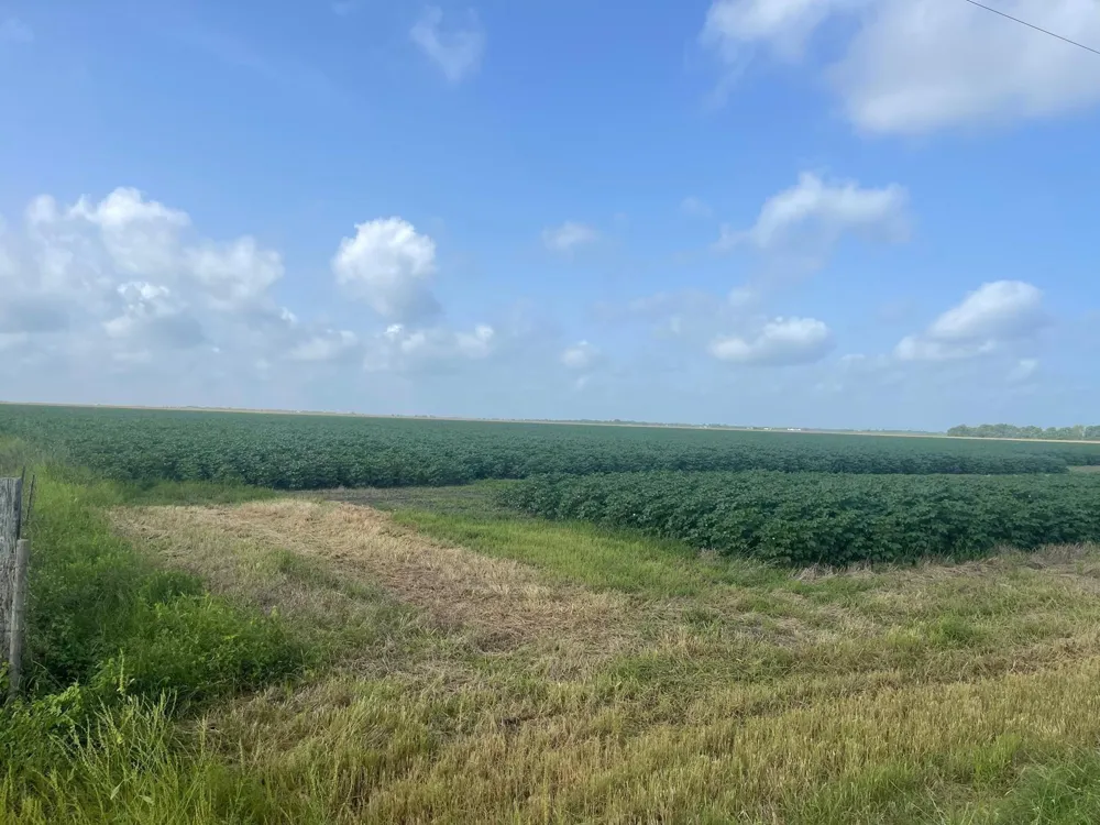 10815 Koym Road Beasley, TX 77417
