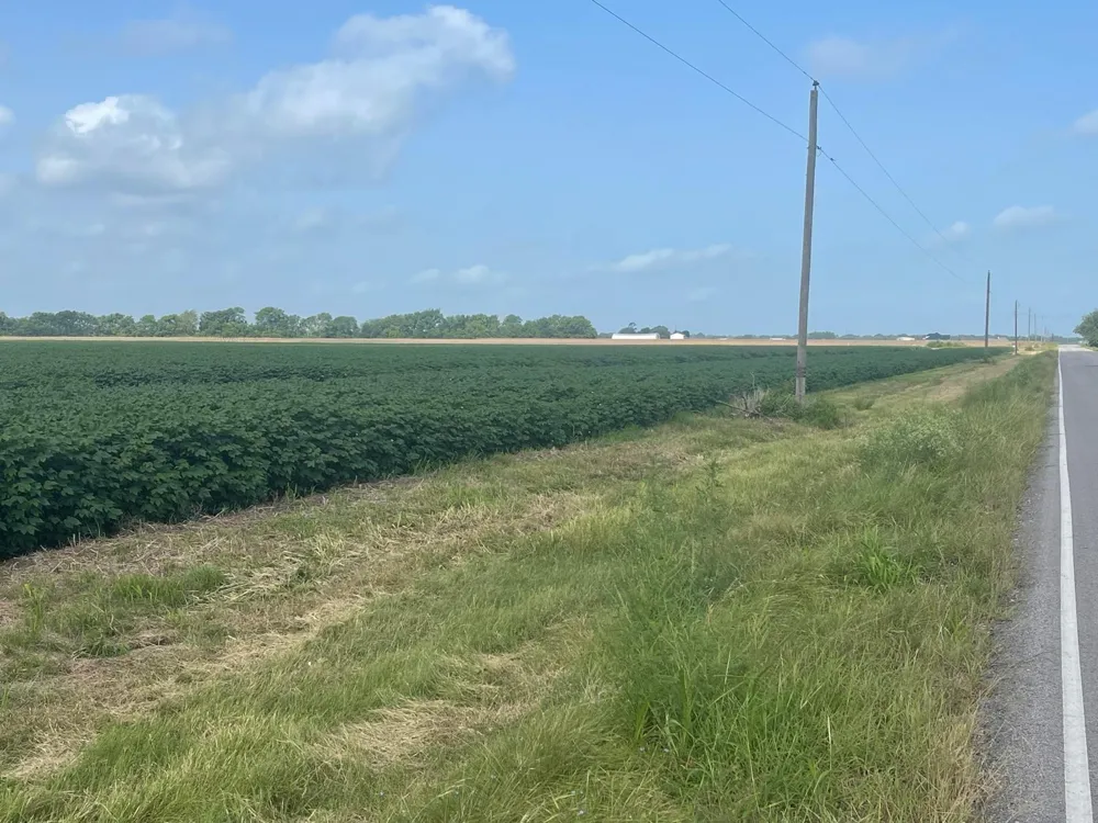 10815 Koym Road Beasley, TX 77417