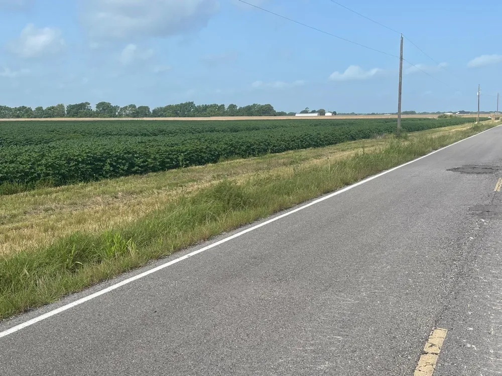 10815 Koym Road Beasley, TX 77417