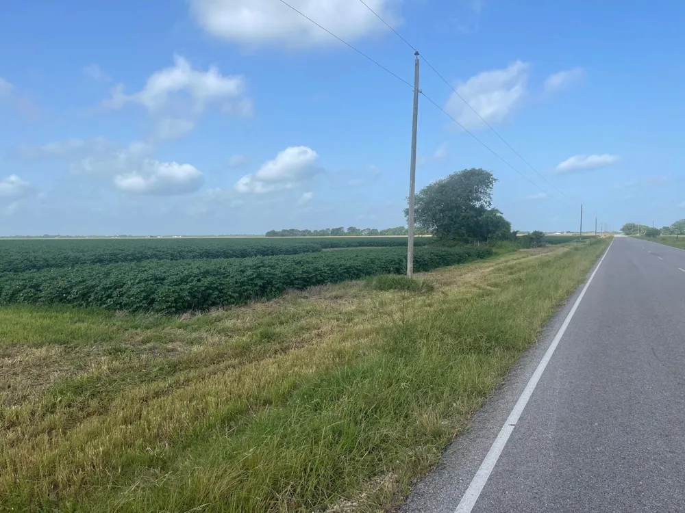 10815 Koym Road Beasley, TX 77417