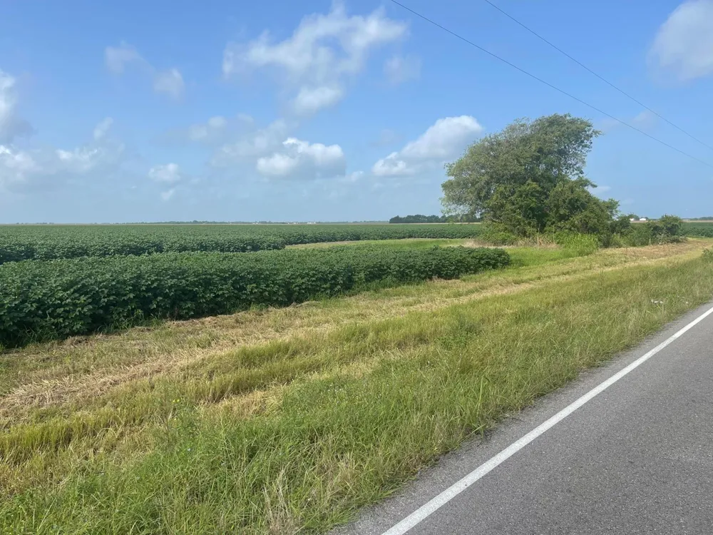 10815 Koym Road Beasley, TX 77417