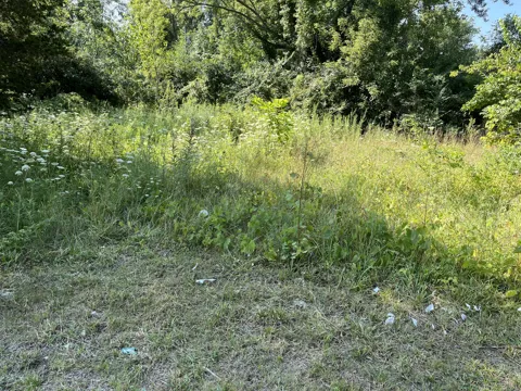 2268 Townline Road