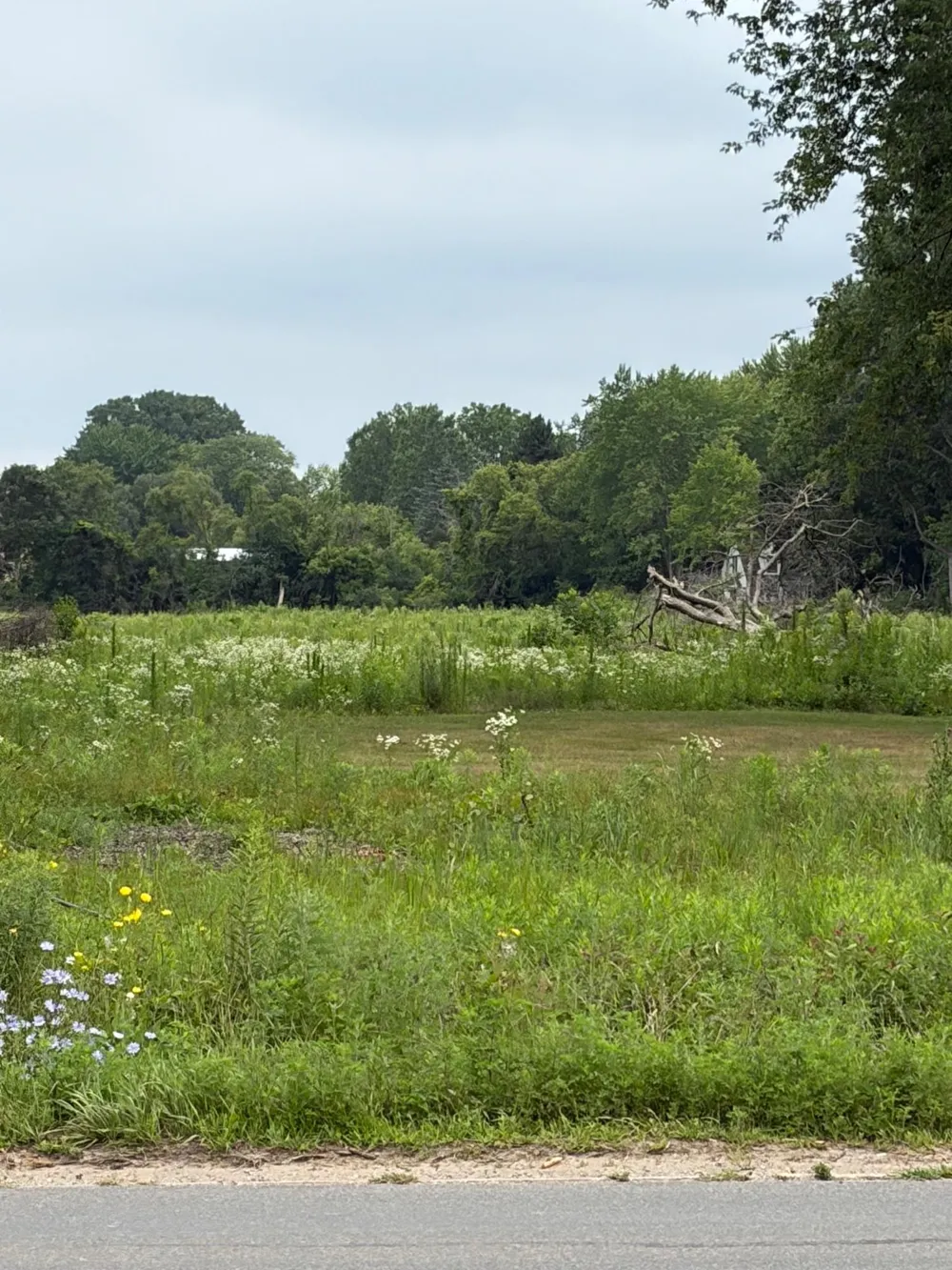 S Isabella Road Union Charter Township, MI 48858