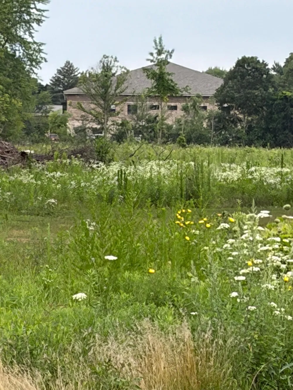 S Isabella Road Union Charter Township, MI 48858