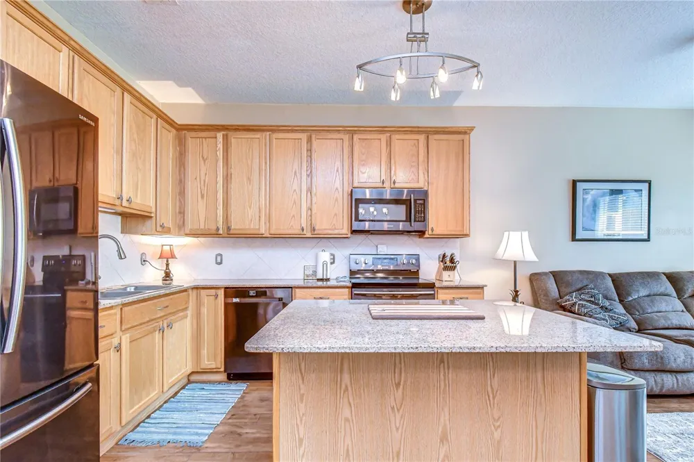 9328 STONE RIVER PLACE Riverview, FL 33578