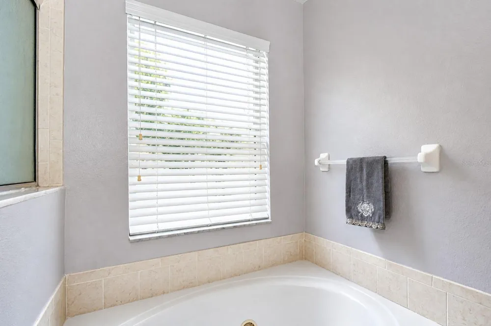 9328 STONE RIVER PLACE Riverview, FL 33578