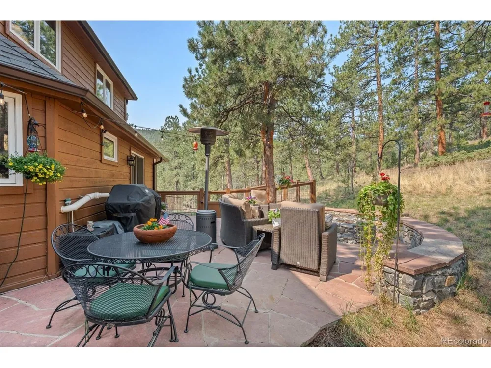 28781 Shadow Mountain Drive Conifer, CO 80433