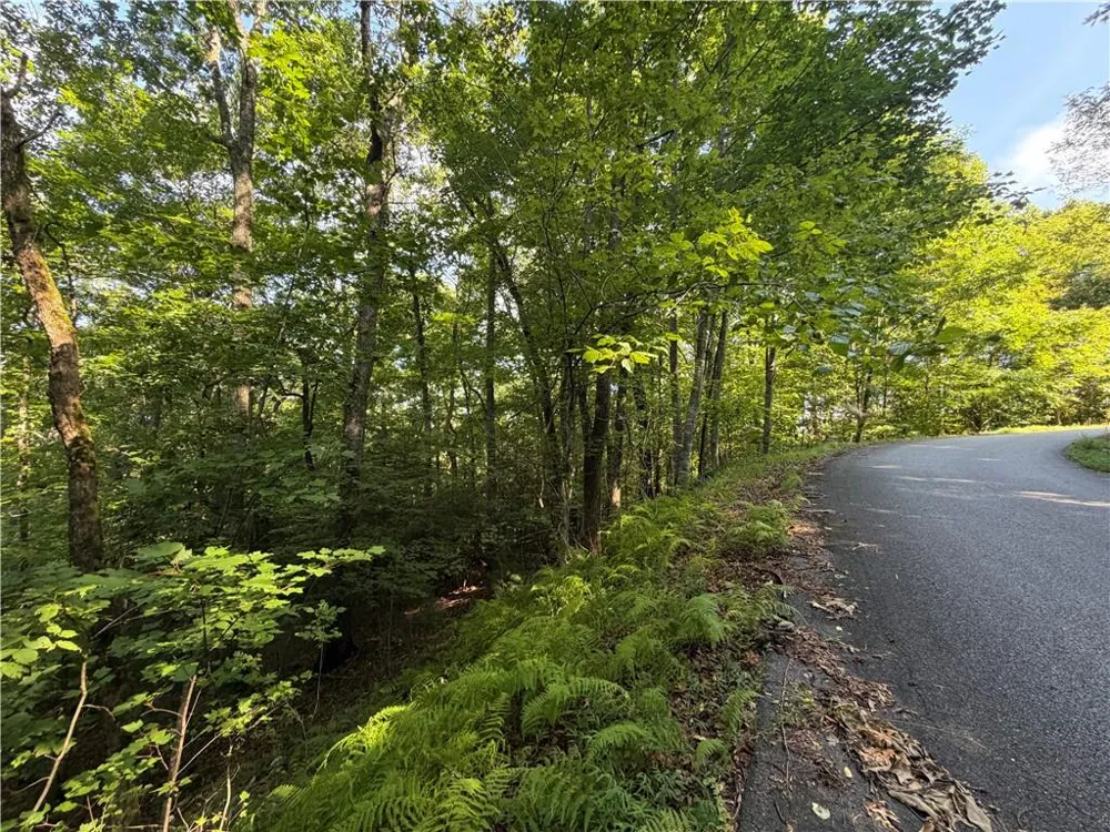 5 Mill Ridge Road Hiawassee, GA 30546