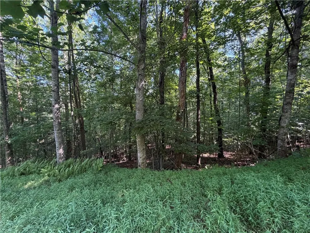 5 Mill Ridge Road Hiawassee, GA 30546