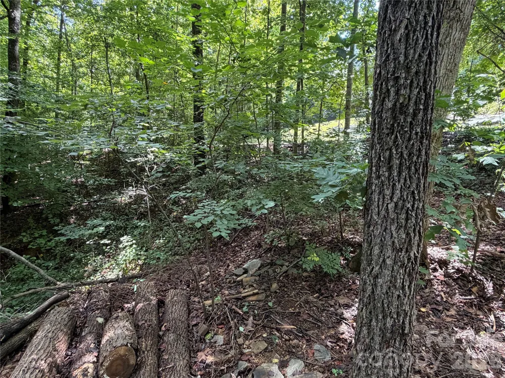 0 Beechtree Circle Rutherfordton, NC 28139