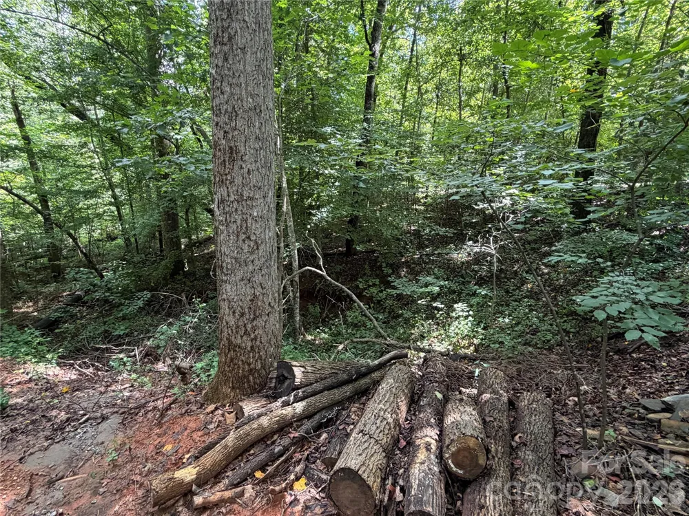 0 Beechtree Circle Rutherfordton, NC 28139