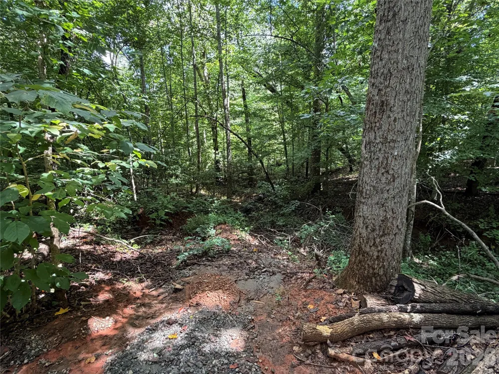 0 Beechtree Circle Rutherfordton, NC 28139