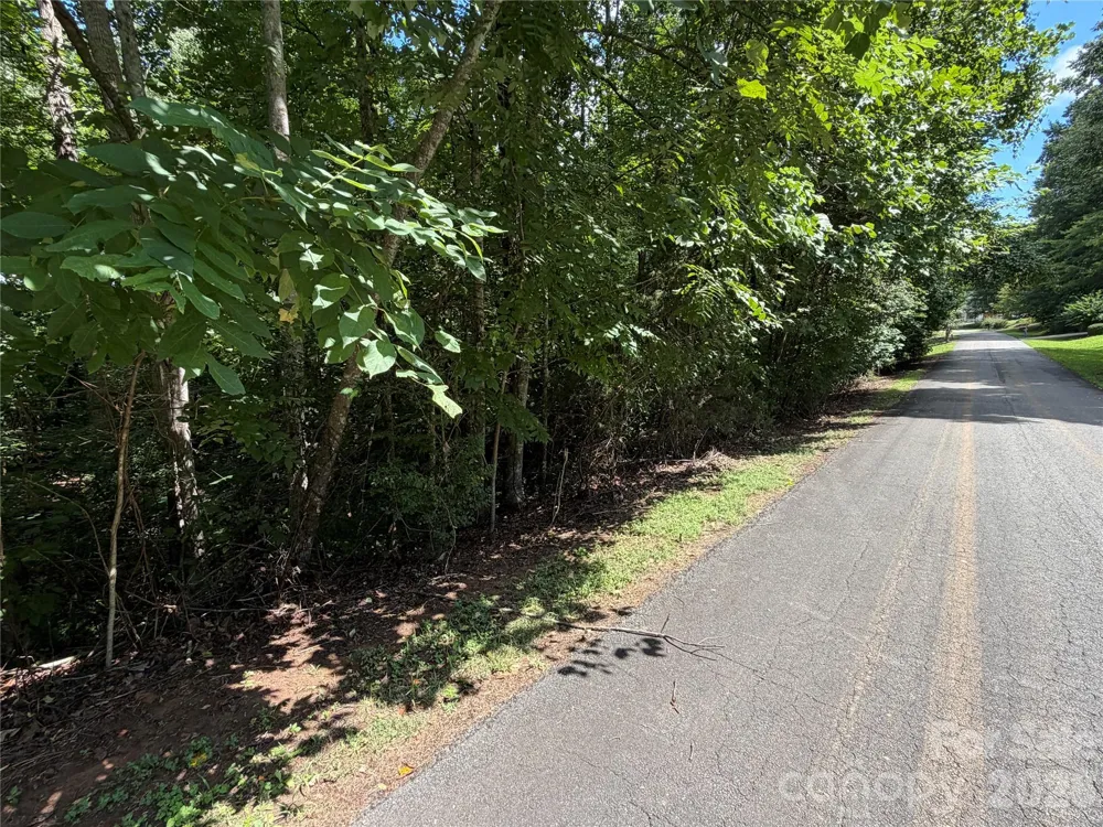 0 Beechtree Circle Rutherfordton, NC 28139