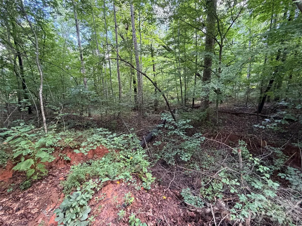 0 Beechtree Circle Rutherfordton, NC 28139