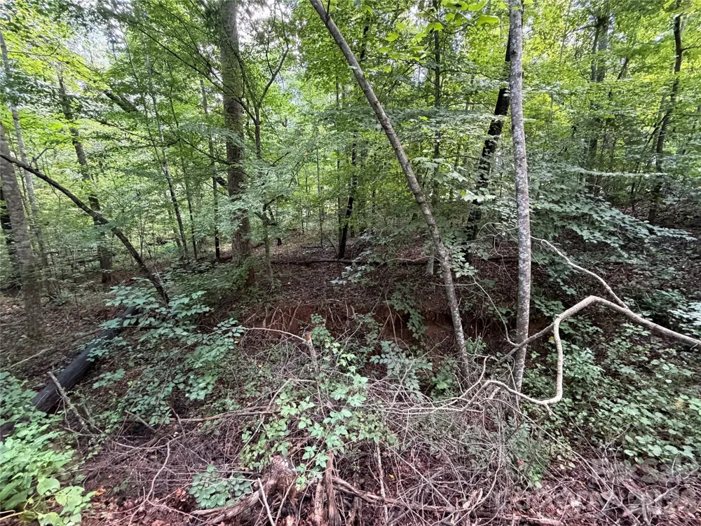 0 Beechtree Circle Rutherfordton, NC 28139