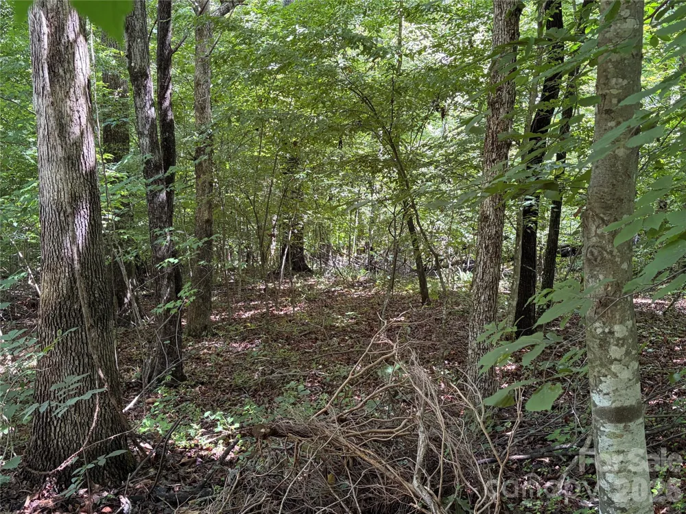0 Beechtree Circle Rutherfordton, NC 28139